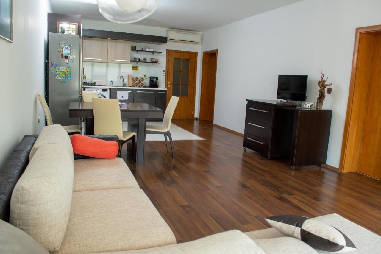 Central Apartment Mountain View Κάρλοβο Εξωτερικό φωτογραφία